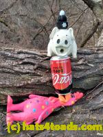 /home//u458753944/public_html/sourcegallery//Chickens/Soda Addiction/IMG_20210116_111017048_HDR.jpg